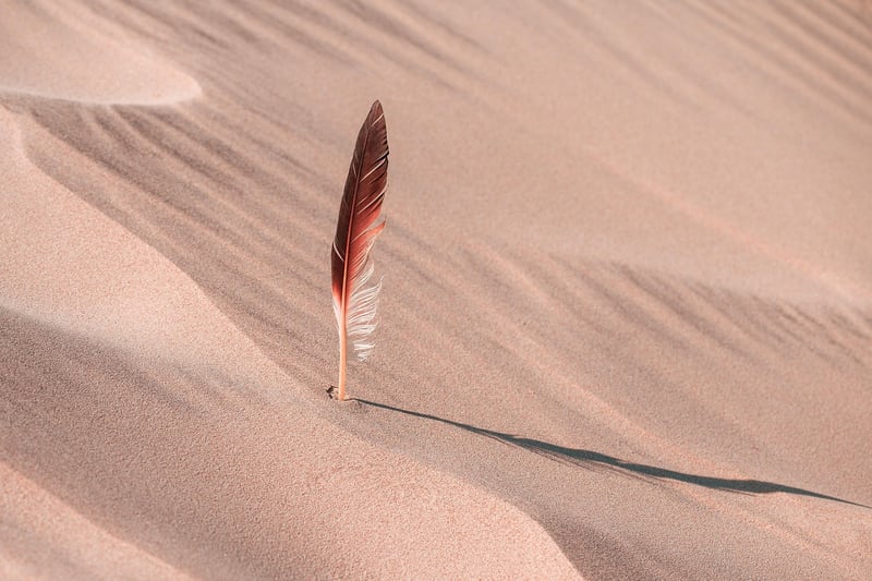 Desert dunes